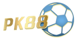 sudoku solver's asset
